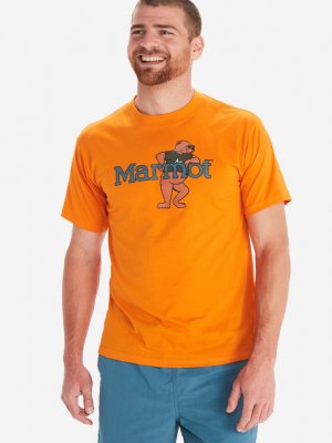 Футболка мужская , Оранжевый Marmot. Цвет: оранжевый