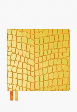 Блокнот Феникс+ Escalada. Цвет: желтый