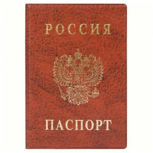 Обложка для паспорта , коричневый DPSkanc. Цвет: коричневый