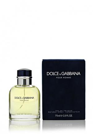 Туалетная вода Dolce&Gabbana Pour homme 75 мл. Цвет: белый