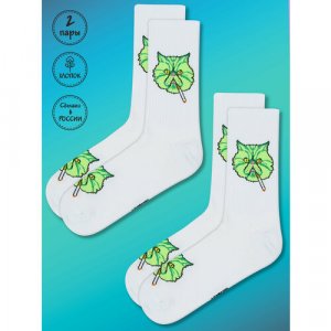 Носки , 2 пары, размер 41-45, белый, зеленый Kingkit. Цвет: белый/зеленый