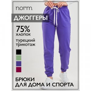 Брюки джоггеры, размер 42-44, фиолетовый Norm. Цвет: фиолетовый/лавандовый