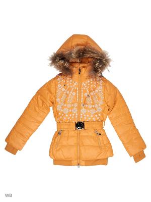 Куртки Arista. Цвет: оранжевый