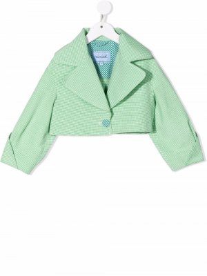 Check-pattern crop jacket Mi Sol. Цвет: зеленый