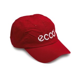 Кепка ECCO. Цвет: разноцветный