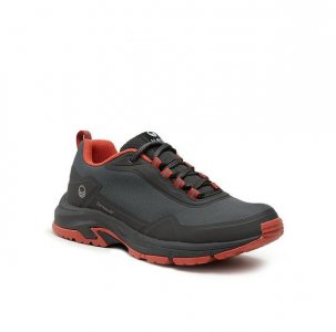 Треккинговая обувь Trekkingi Fara Low 2 Men s Dx Outdoor Shoes 054-2620 Szary Halti