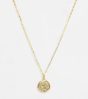 Ожерелье с покрытием 14-каратным золотом и подвеской-монетой -Золотой Astrid & Miyu
