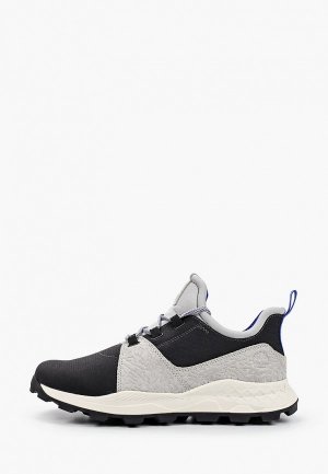 Кроссовки Timberland Brooklyn L/F Oxford JET BLACK. Цвет: разноцветный