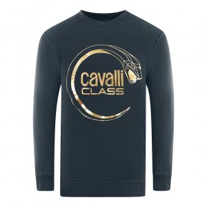Темно-синий свитшот Piercing Snake Logo Cavalli Class, синий CLASS