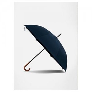 Зонт мужской трость Conte темно-синий zontcenter. Цвет: синий