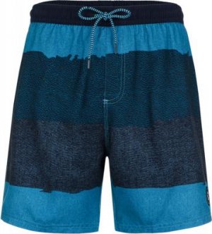 Шорты пляжные мужские Bilo, размер 50-52 Protest. Цвет: голубой
