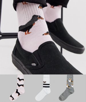 Набор из 3 пар спортивных носков с собаками ASOS DESIGN. Цвет: белый