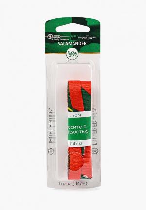 Шнурки Salamander Professional. Цвет: красный