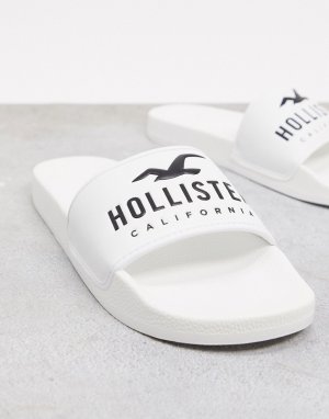 Белые шлепанцы с логотипом -Белый Hollister