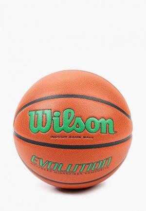 Мяч баскетбольный Wilson BS EVOLUTION 295 GAME BALL GR. Цвет: коричневый