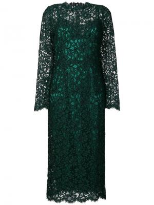 Кружевное платье с длинными рукавами Dolce & Gabbana. Цвет: зелёный