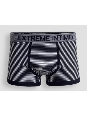 Трусы Extreme Intimo. Цвет: серый