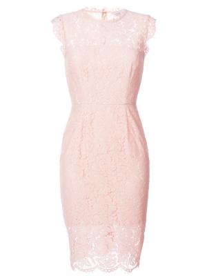 Приталенное кружевное платье Rachel Zoe. Цвет: розовый и фиолетовый