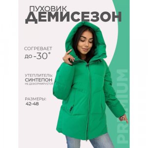 Куртка , демисезон/зима, средней длины, силуэт свободный, капюшон, карманы, размер L, зеленый Annapurna. Цвет: зеленый