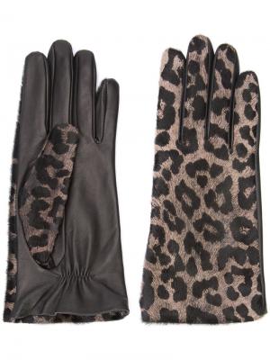 Перчатки с леопардовым узором Perrin Paris. Цвет: чёрный