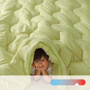Одеяло COLOR, 500 г/м² REVERIE. Цвет: зеленый анис,фиалковый,шоколадно-каштановый