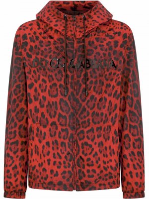 Куртка с капюшоном и леопардовым принтом Dolce & Gabbana. Цвет: красный