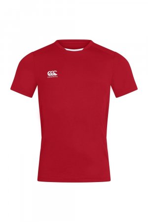 Клубная сухая футболка , красный Canterbury
