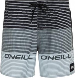 Шорты пляжные мужские ONeill Hm Sunstroke, размер 50-52 O'Neill. Цвет: черный