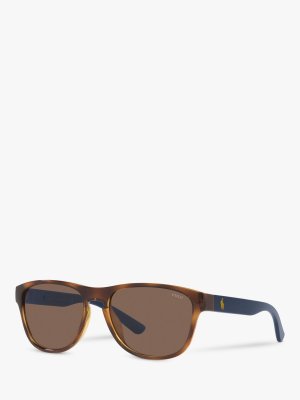 Солнцезащитные очки-подушка унисекс Polo PH4180U, гавана/коричневый Ralph Lauren