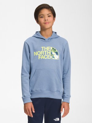 Флисовый пуловер с капюшоном Camp – для мальчиков , синий The North Face