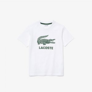 Футболки Хлопковая футболка Lacoste. Цвет: белый