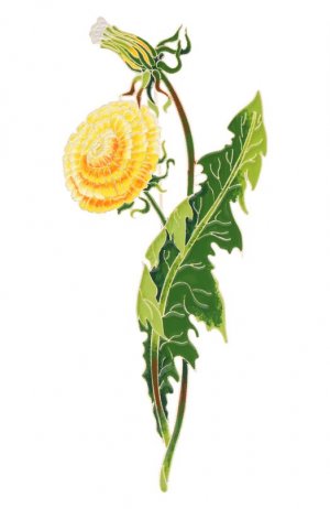 Брошь Одуванчик полевой Русские самоцветы. Цвет: жёлтый